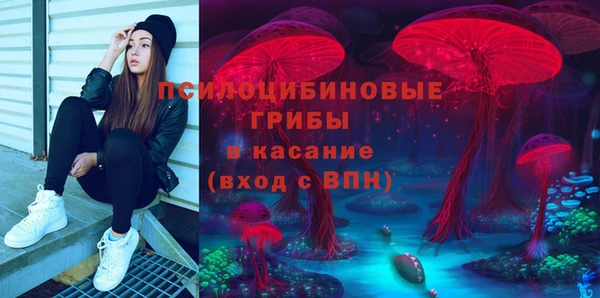 тгк Богданович